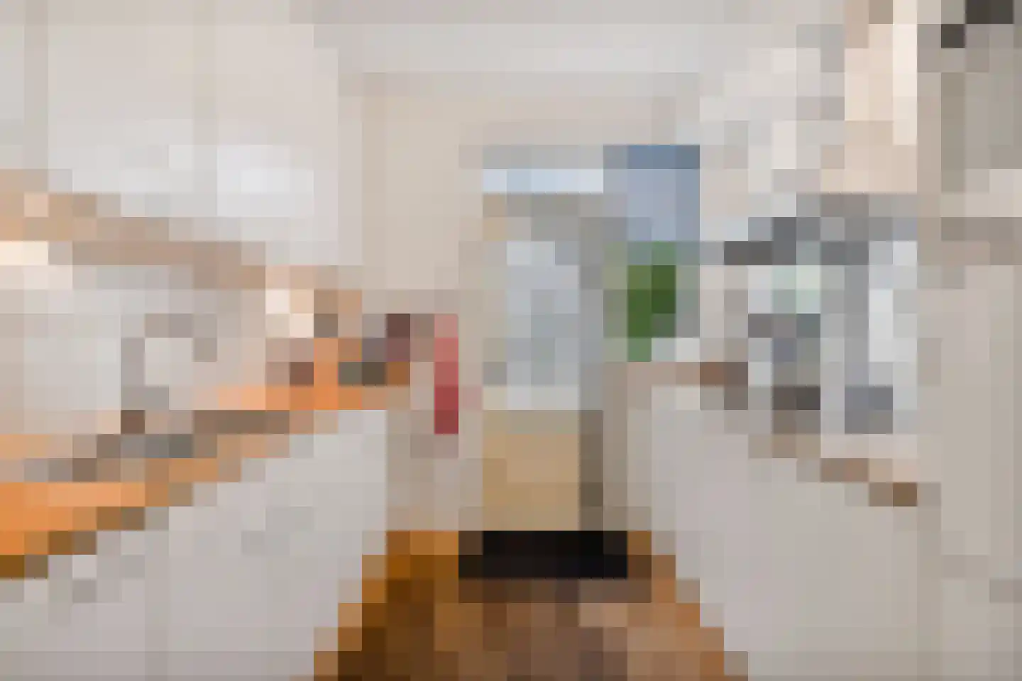 P. Bergmanstraat 14 Breezand thumbnail 18