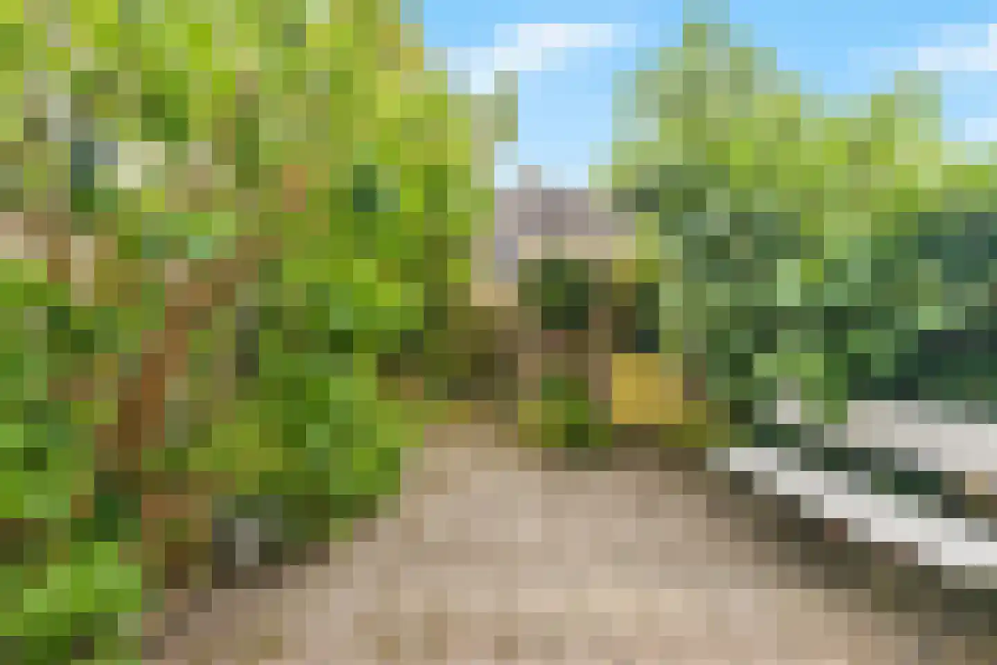 P. Bergmanstraat 14 Breezand thumbnail 38