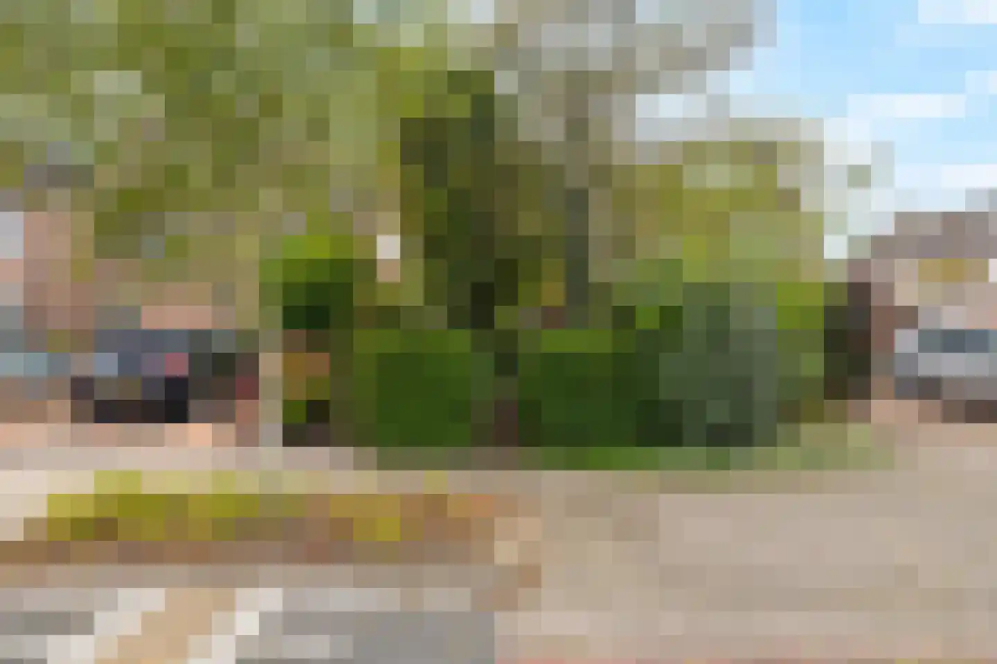 P. Bergmanstraat 14 Breezand thumbnail 5