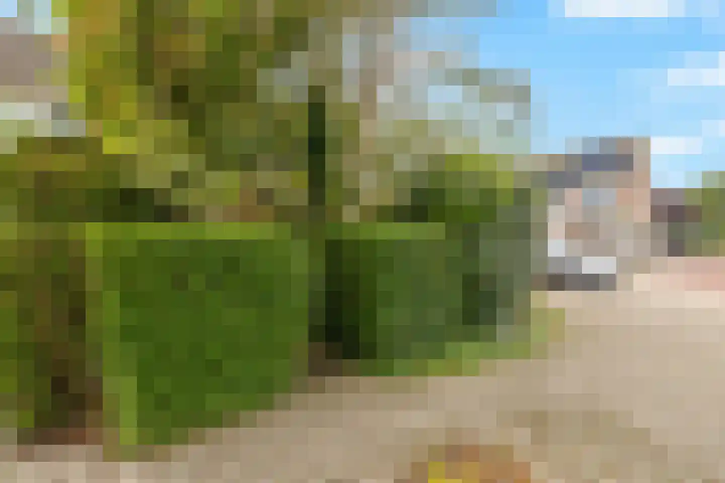 P. Bergmanstraat 14 Breezand thumbnail 6