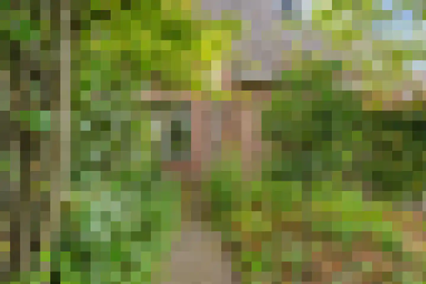 P. Bergmanstraat 14 Breezand thumbnail 7