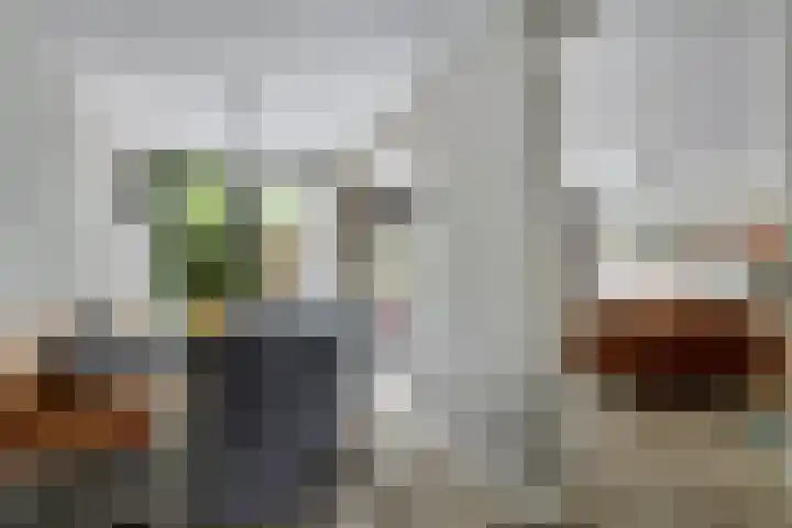 P. Boorsmastraat 22 Zaandam thumbnail 15