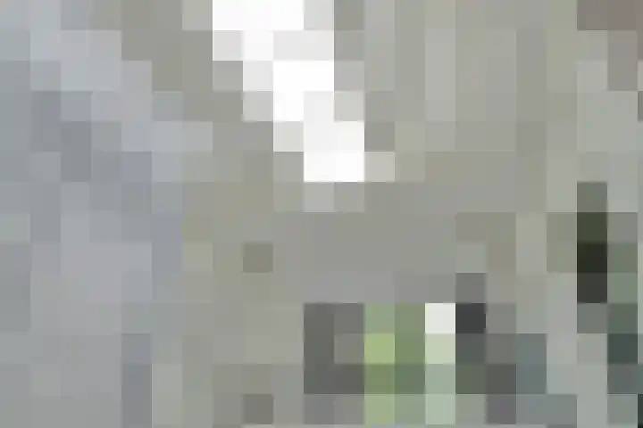 P. Boorsmastraat 22 Zaandam thumbnail 42