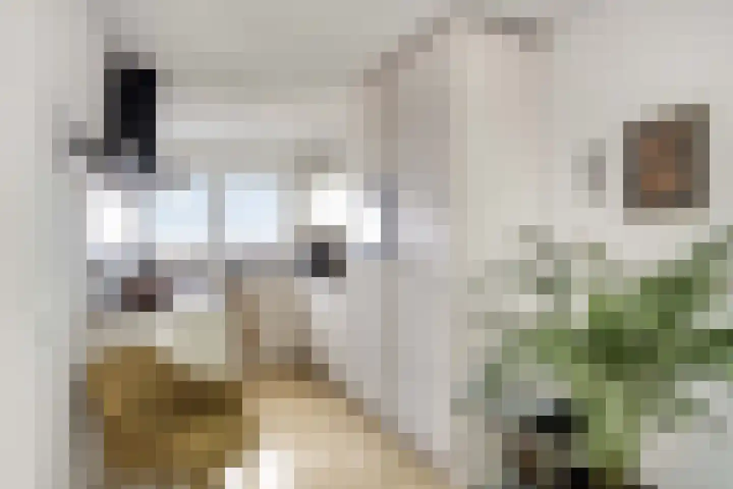 P. Boorsmastraat 4 Zaandam thumbnail 21