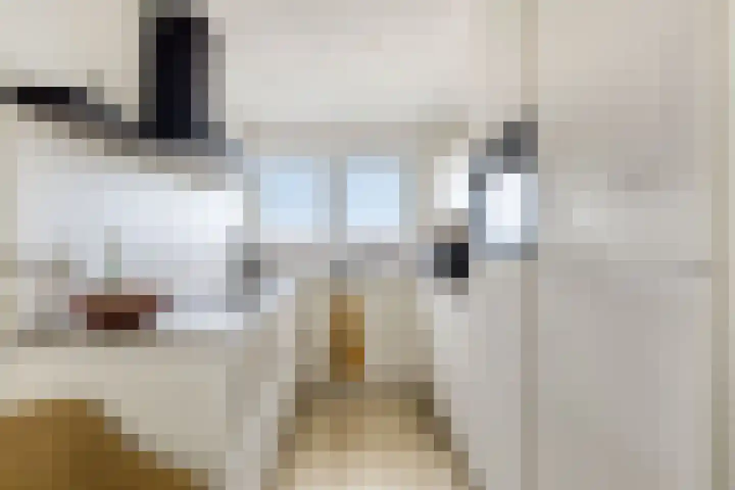 P. Boorsmastraat 4 Zaandam thumbnail 22
