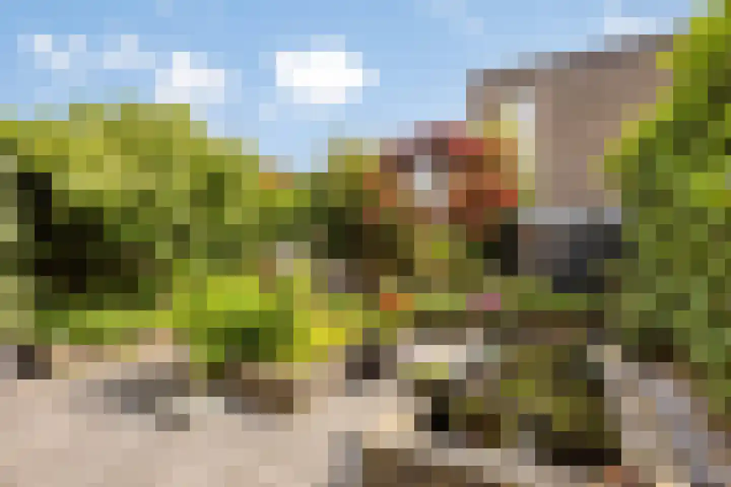 P. Boorsmastraat 4 Zaandam thumbnail 4