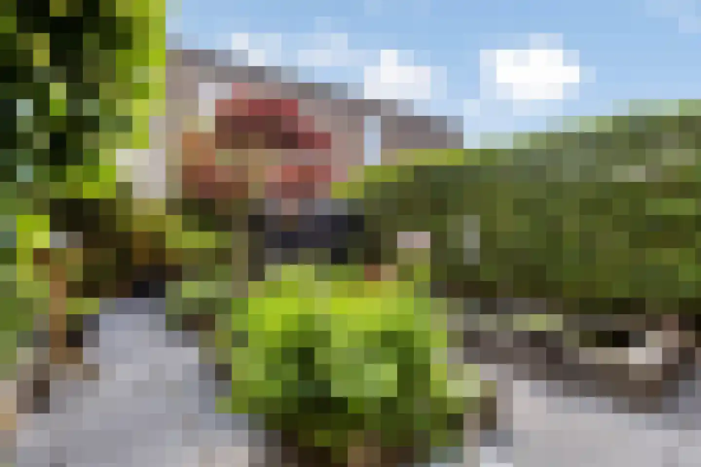 P. Boorsmastraat 4 Zaandam thumbnail 48