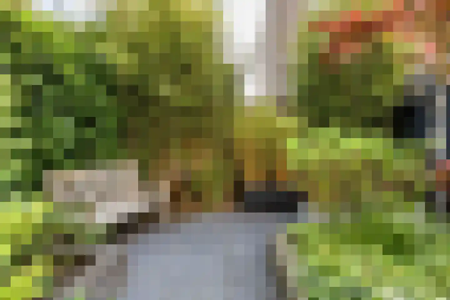 P. Boorsmastraat 4 Zaandam thumbnail 49