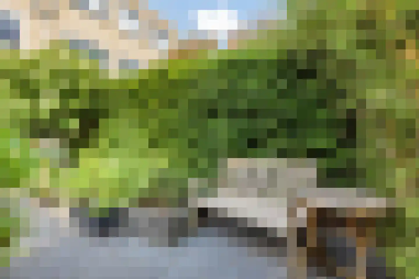 P. Boorsmastraat 4 Zaandam thumbnail 52