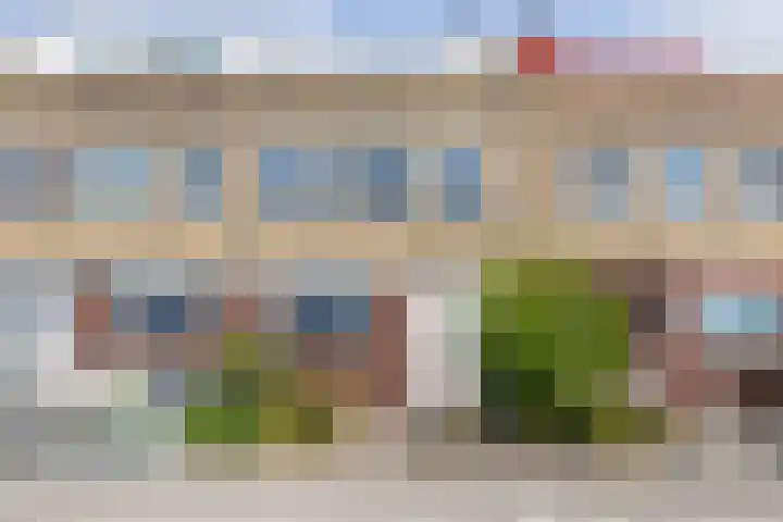 P. Boorsmastraat 48 Zaandam thumbnail 5