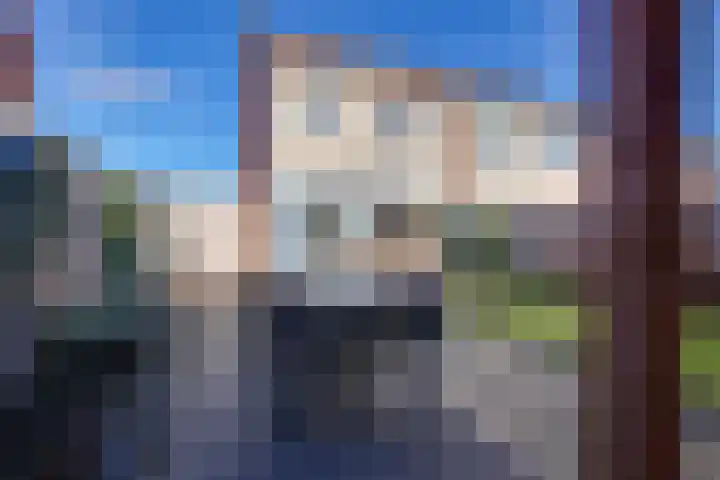 P.Buismanstraat 27 Lemelerveld thumbnail 16
