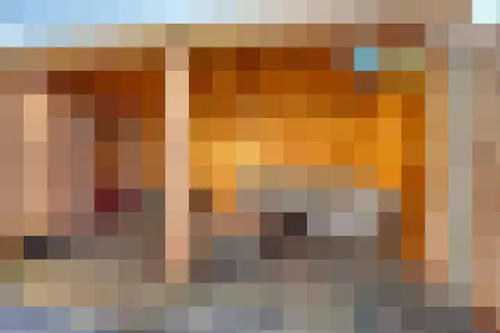 P.Buismanstraat 27 Lemelerveld thumbnail 18