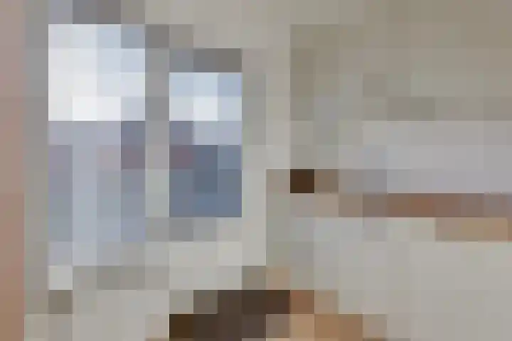 P.Buismanstraat 27 Lemelerveld thumbnail 8