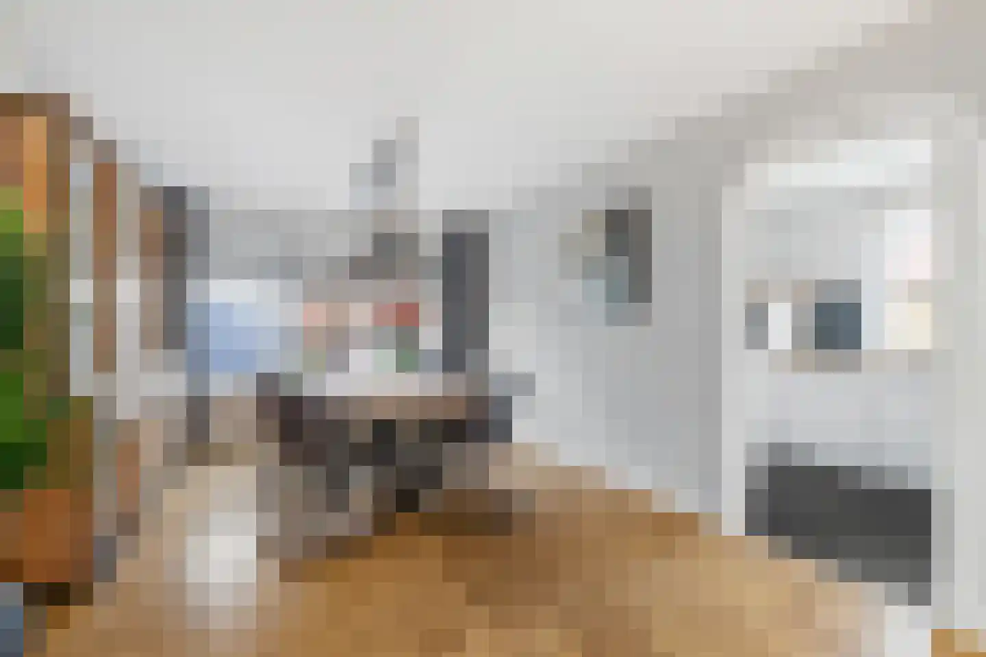 P.Buismanstraat 55 Lemelerveld thumbnail 10