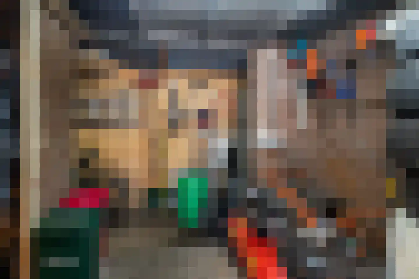 P.Buismanstraat 55 Lemelerveld thumbnail 32
