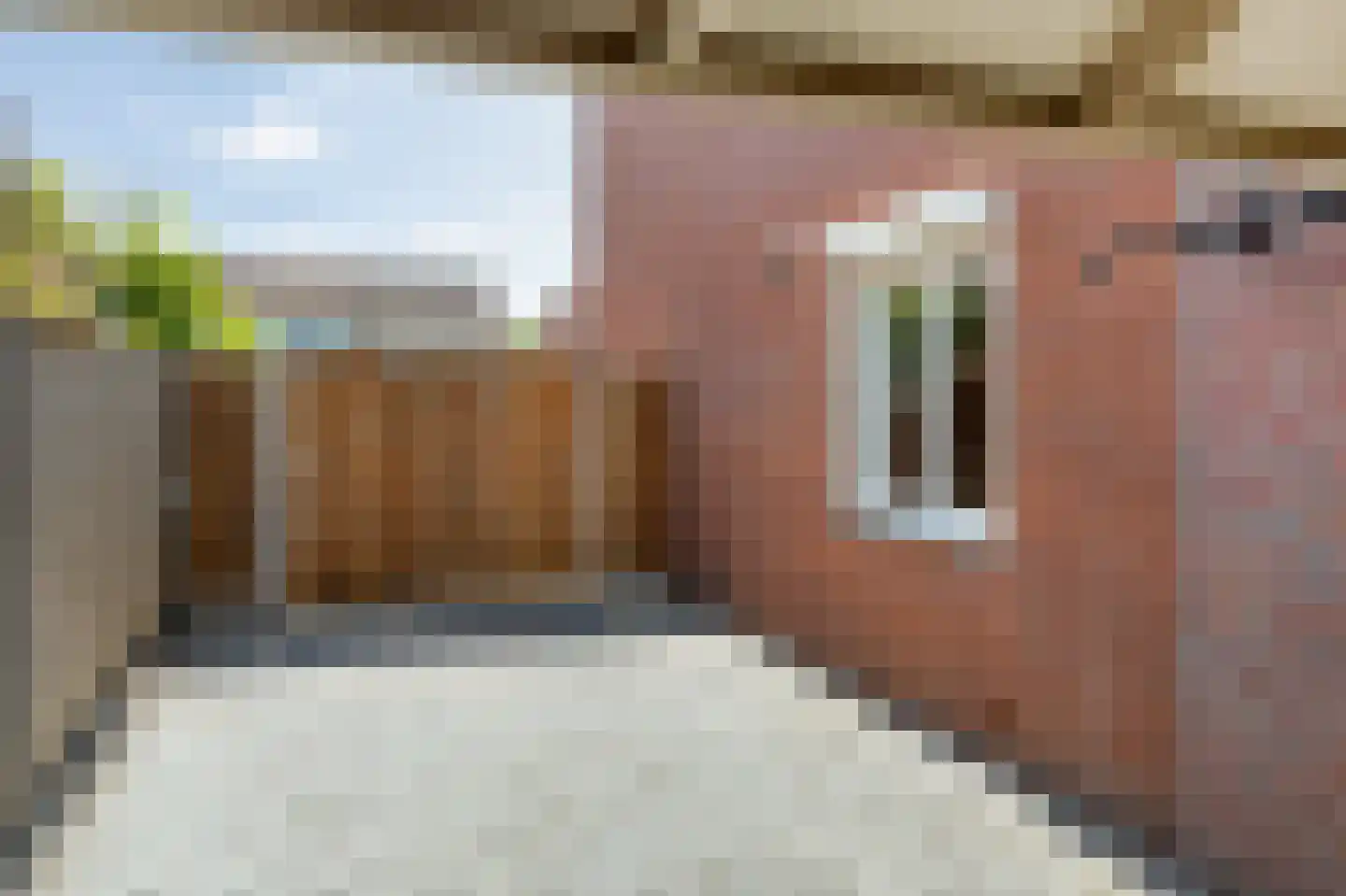 P.Buismanstraat 55 Lemelerveld thumbnail 35