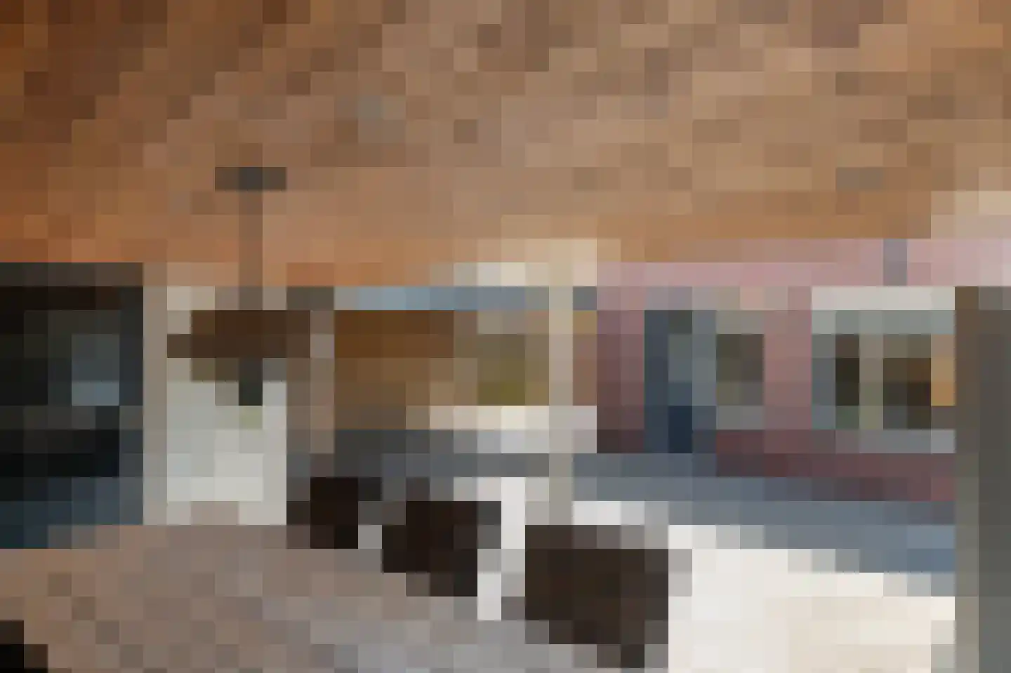 P.Buismanstraat 55 Lemelerveld thumbnail 38