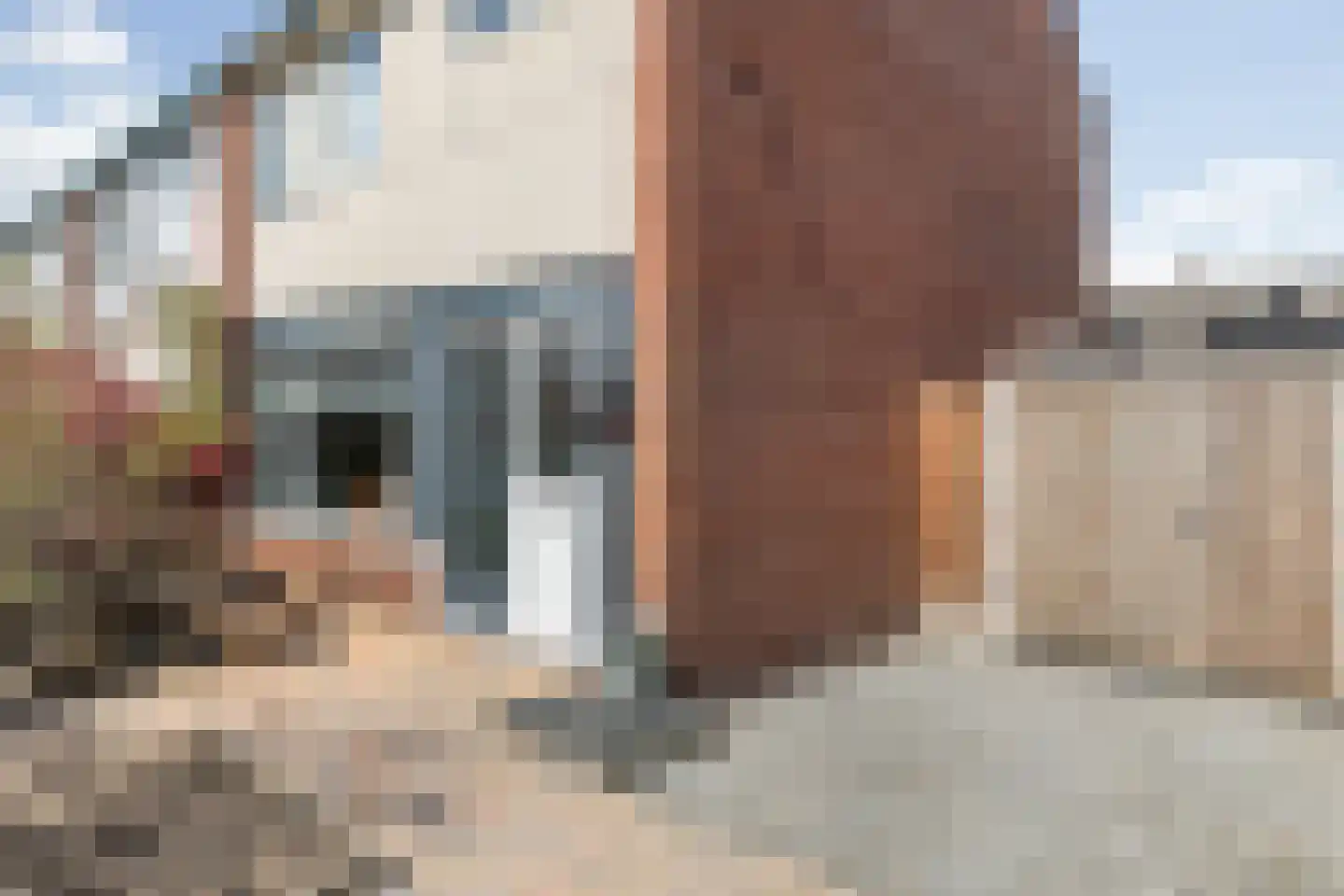 P.Buismanstraat 55 Lemelerveld thumbnail 4