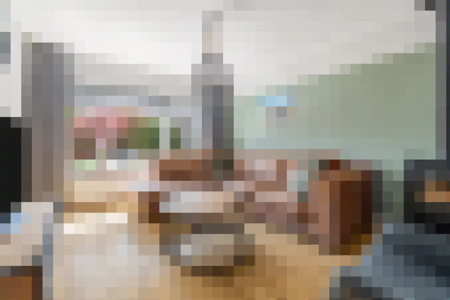 P.Buismanstraat 55 Lemelerveld thumbnail 5