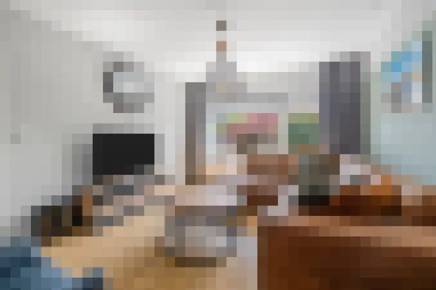P.Buismanstraat 55 Lemelerveld thumbnail 6