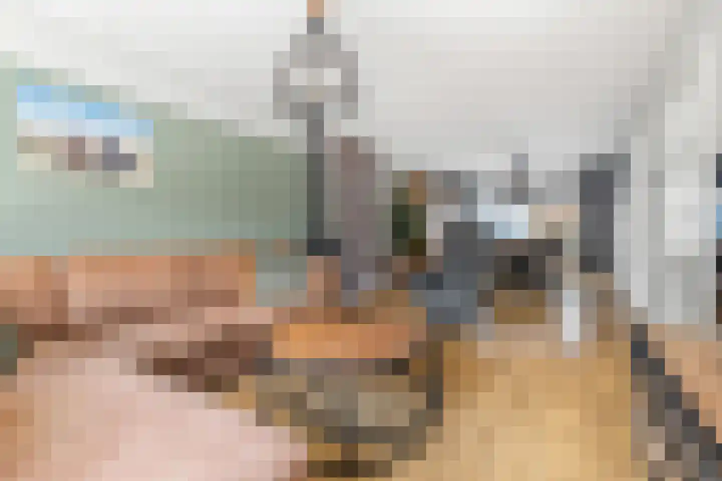 P.Buismanstraat 55 Lemelerveld thumbnail 7
