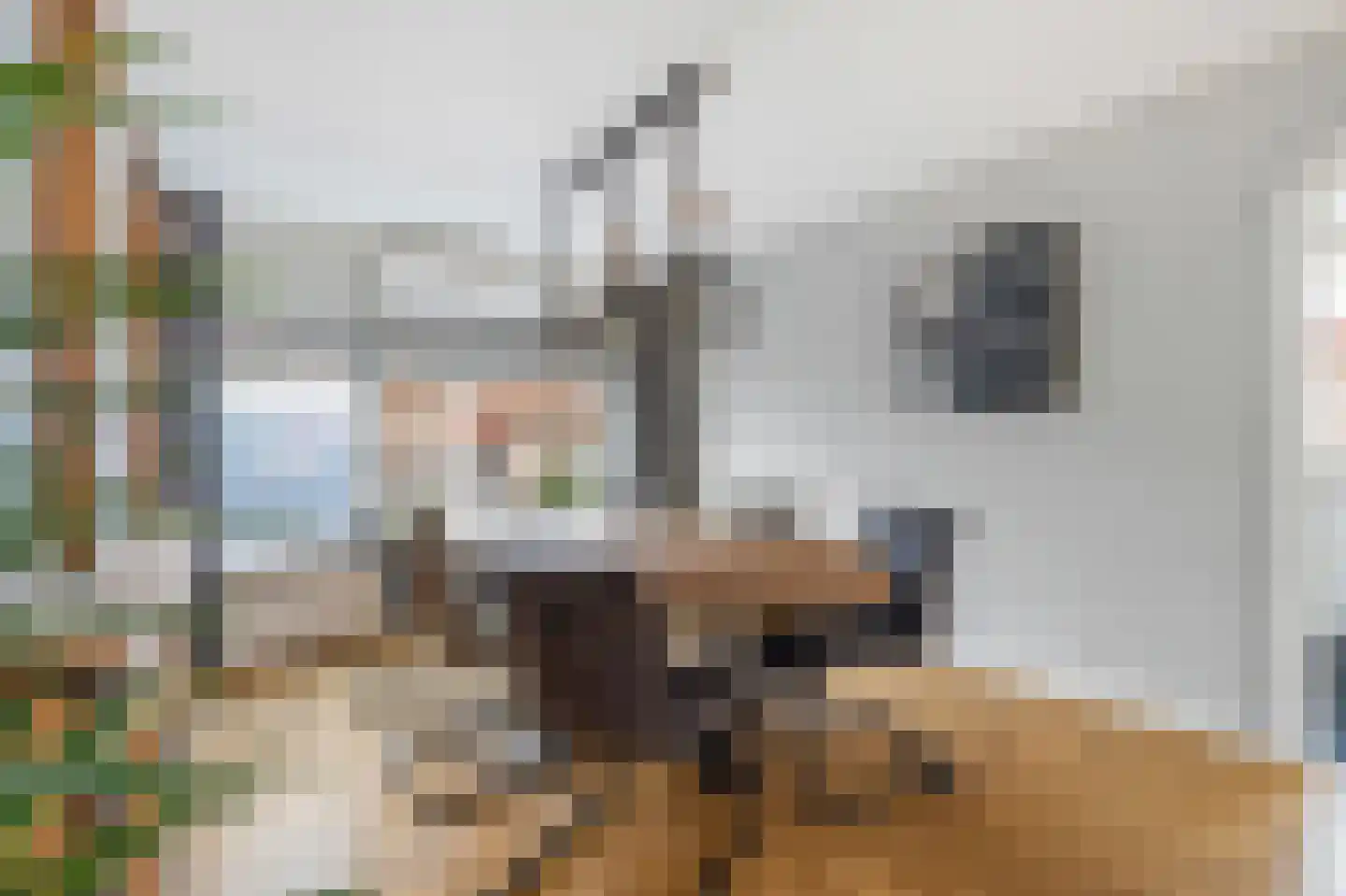 P.Buismanstraat 55 Lemelerveld thumbnail 9