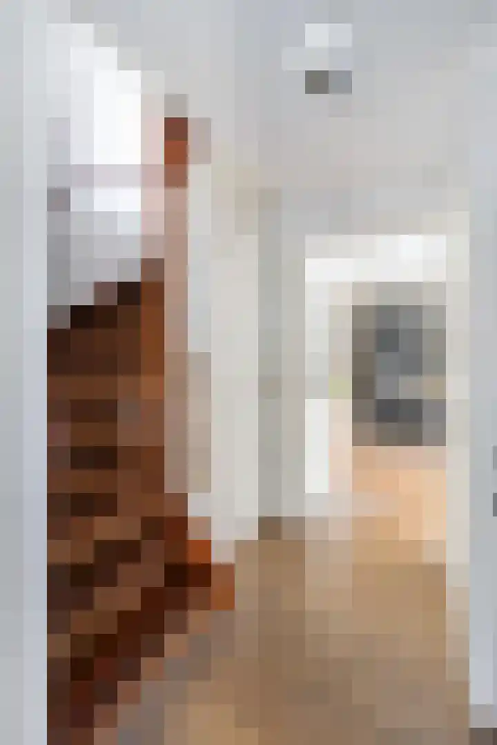 P.Buismanstraat 57 E Lemelerveld thumbnail 17