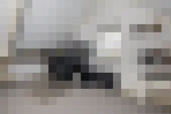P.Buismanstraat 57 E Lemelerveld thumbnail 27