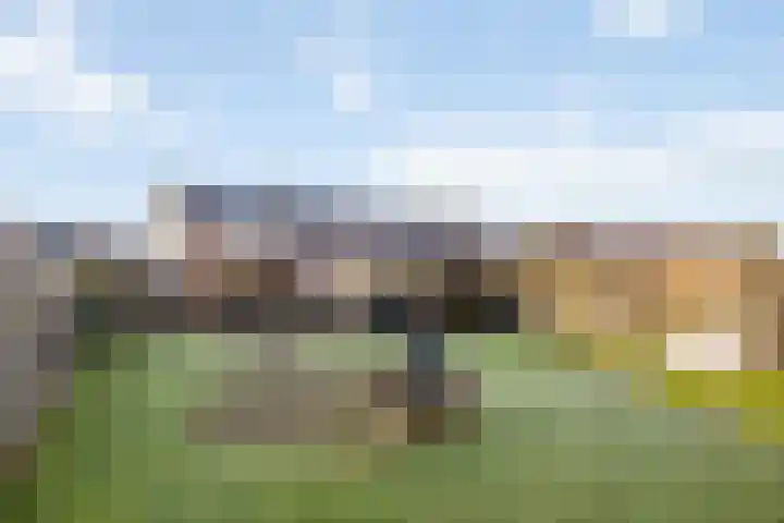 P.Buismanstraat 81 Lemelerveld thumbnail 26