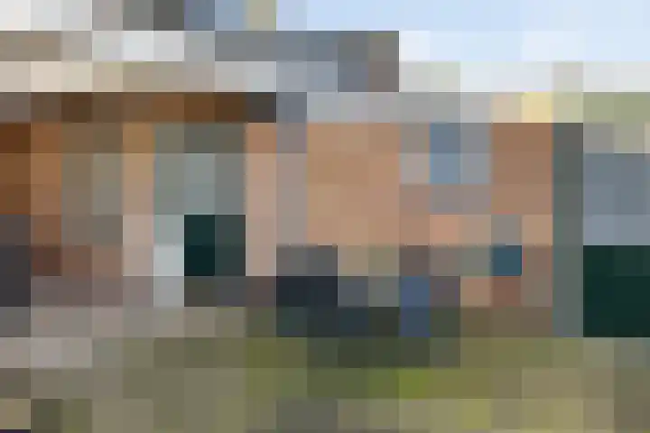 P.Buismanstraat 81 Lemelerveld thumbnail 30