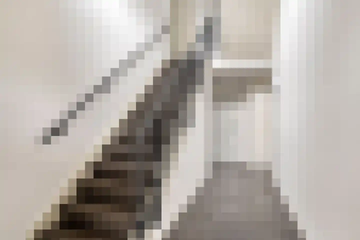 P.C. Borstlaan 114 Hengelo thumbnail 10