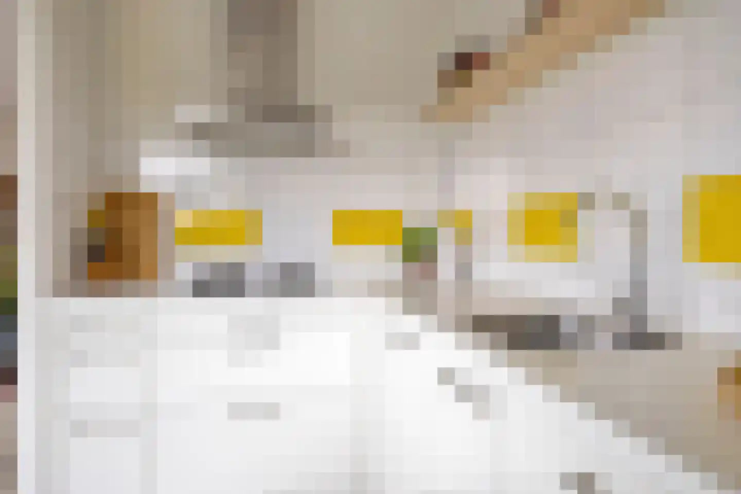 P.C. Borstlaan 114 Hengelo thumbnail 25