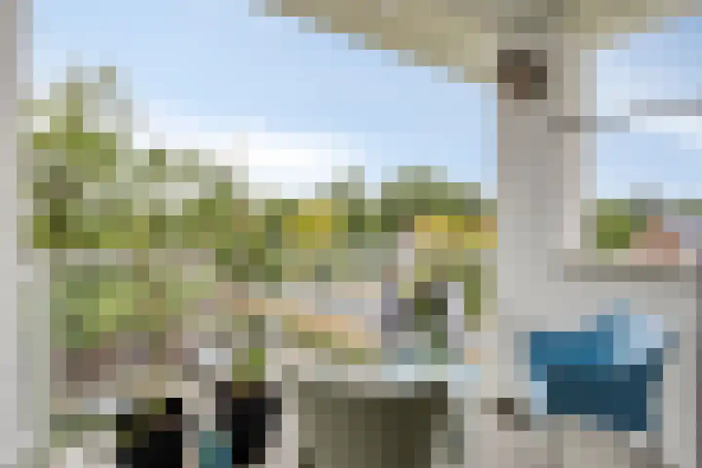 P.C. Borstlaan 114 Hengelo thumbnail 27