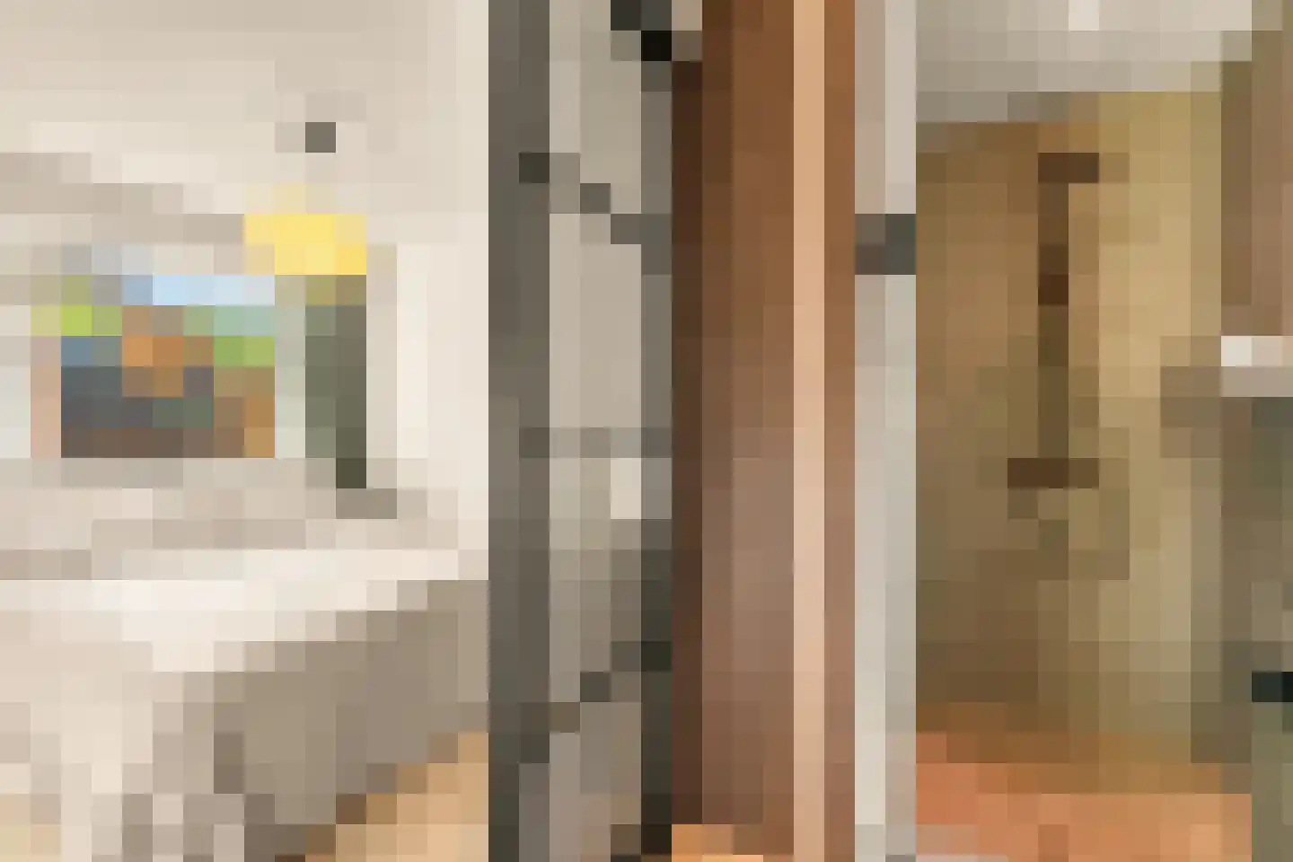 P.C. Borstraat 1 A Utrecht thumbnail 11