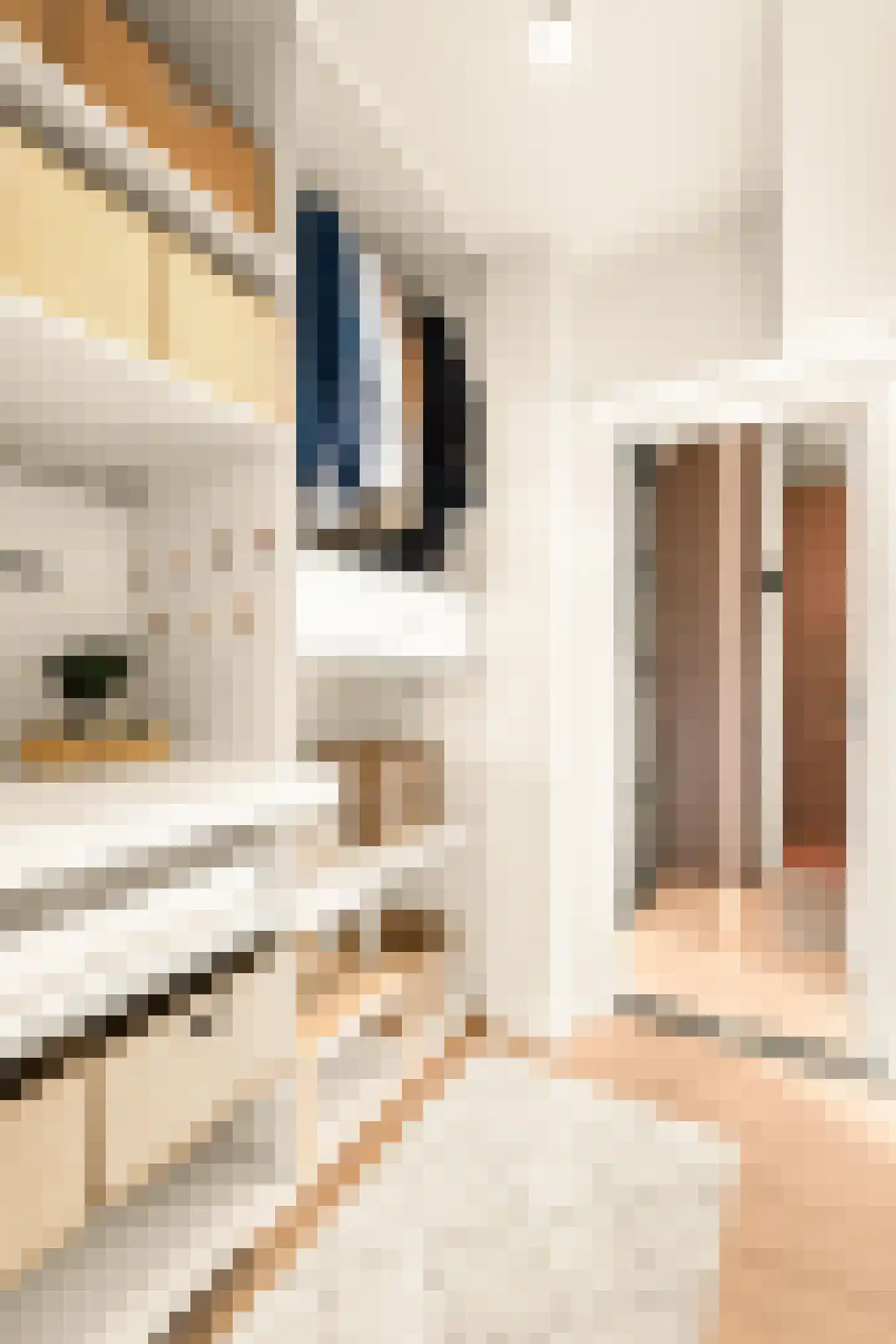 P.C. Borstraat 1 A Utrecht thumbnail 18
