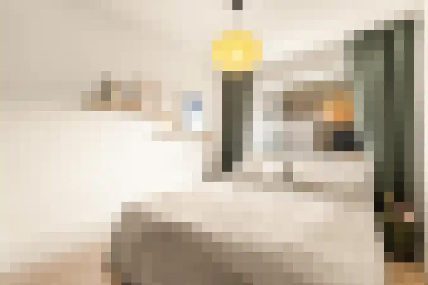 P.C. Borstraat 1 A Utrecht thumbnail 23