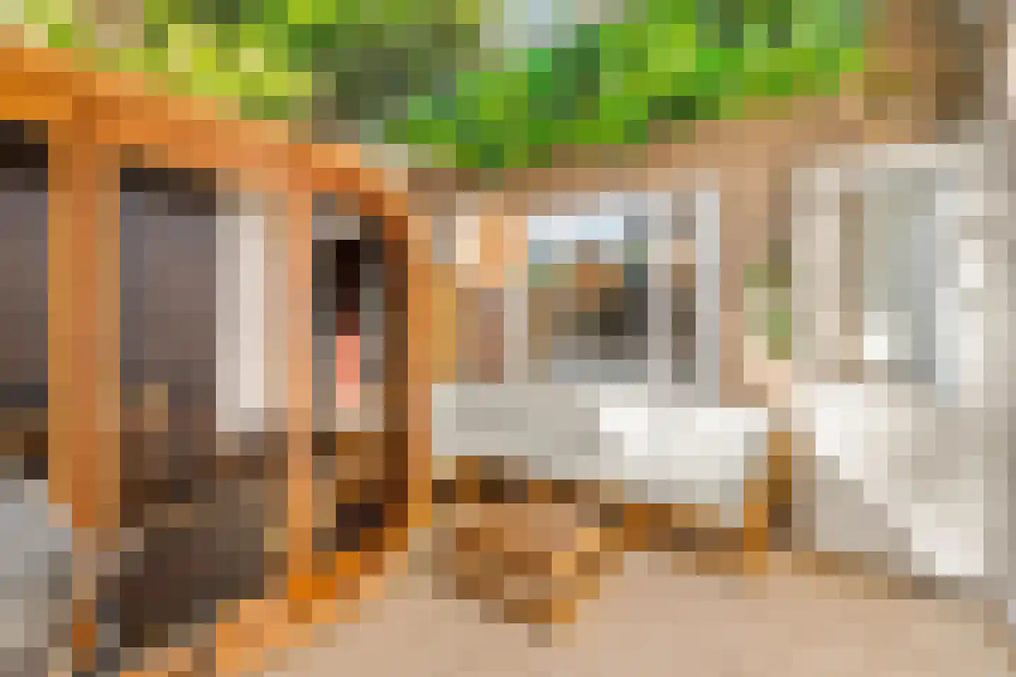 P.C. Borstraat 1 A Utrecht thumbnail 35