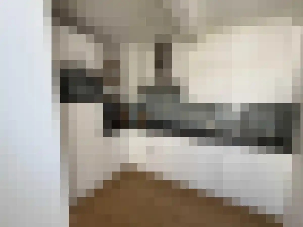P.C. Borstraat 11 Utrecht thumbnail 5