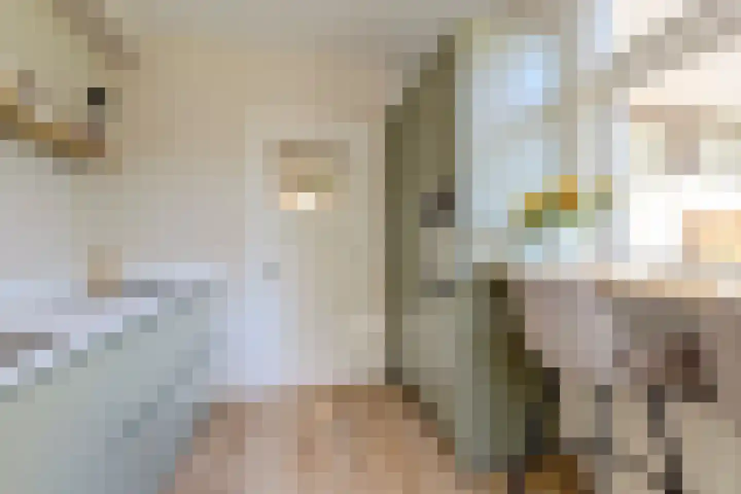 P.C. Borstraat 17 Utrecht thumbnail 11