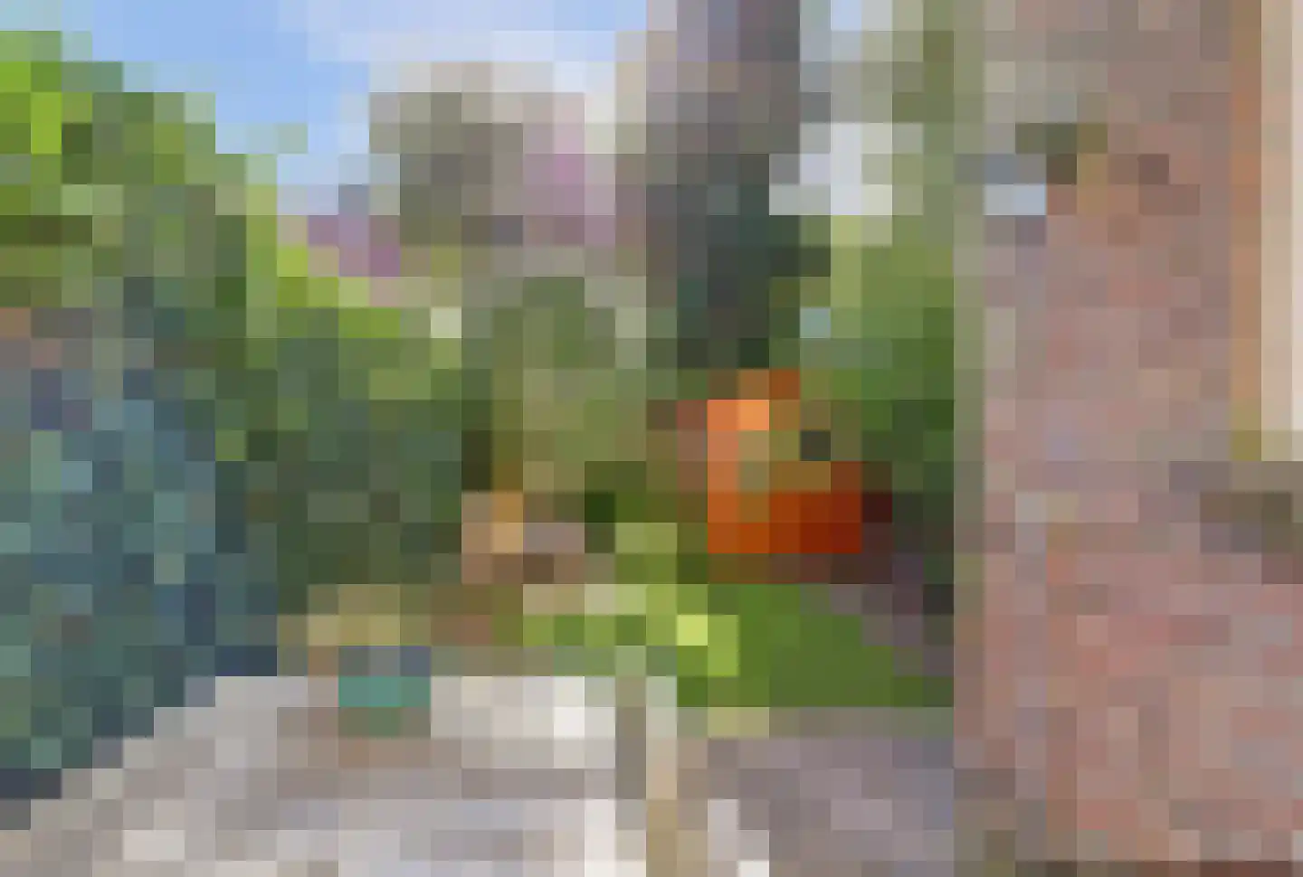 P.C. Borstraat 17 Utrecht thumbnail 17
