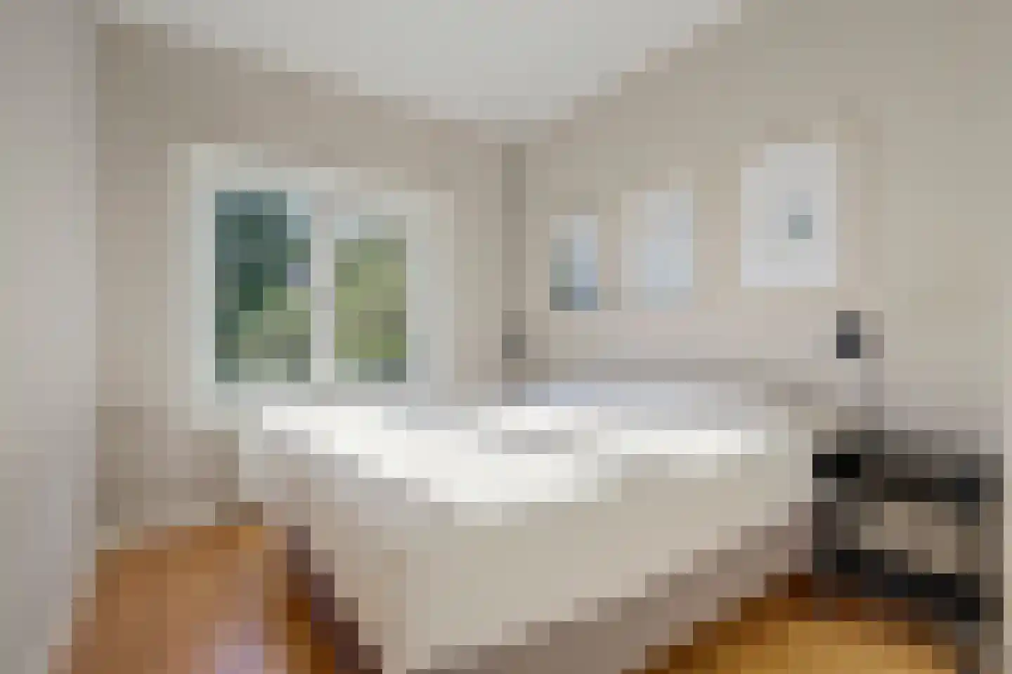 P.C. Borstraat 17 Utrecht thumbnail 18
