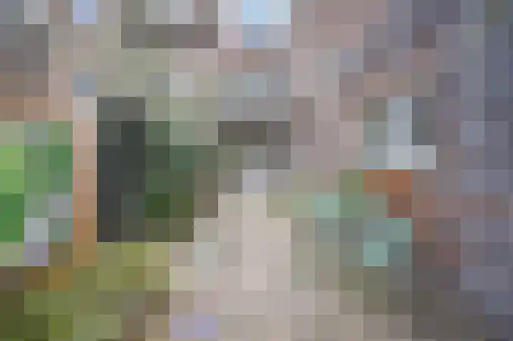 P.C. Borstraat 3 Utrecht thumbnail 31