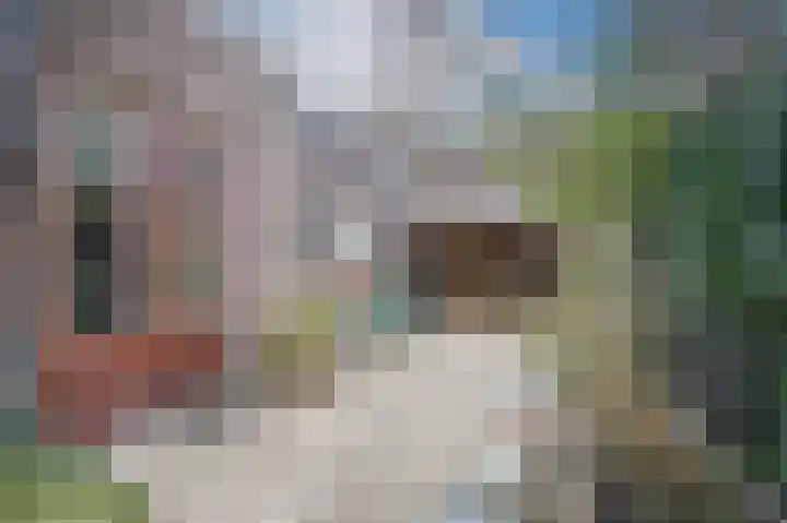 P.C. Borstraat 3 Utrecht thumbnail 33