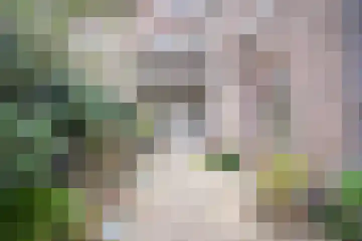 P.C. Borstraat 3 Utrecht thumbnail 38