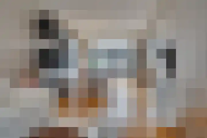 P.C. Borstraat 6 Utrecht thumbnail 10