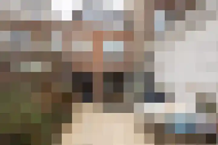 P.C. Borstraat 6 Utrecht thumbnail 20