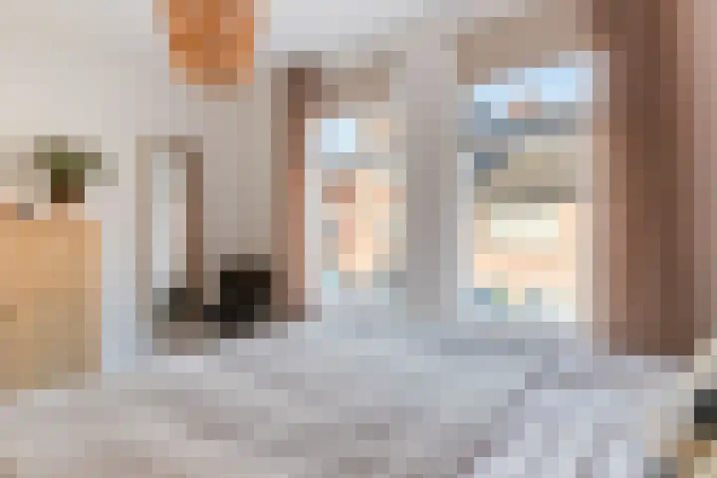 P.C. Bothstraat 28 Gouda thumbnail 22