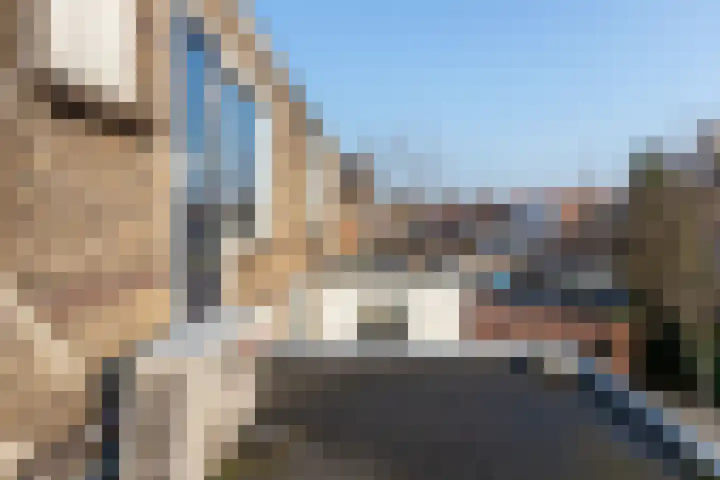P.C. Bothstraat 28 Gouda thumbnail 30