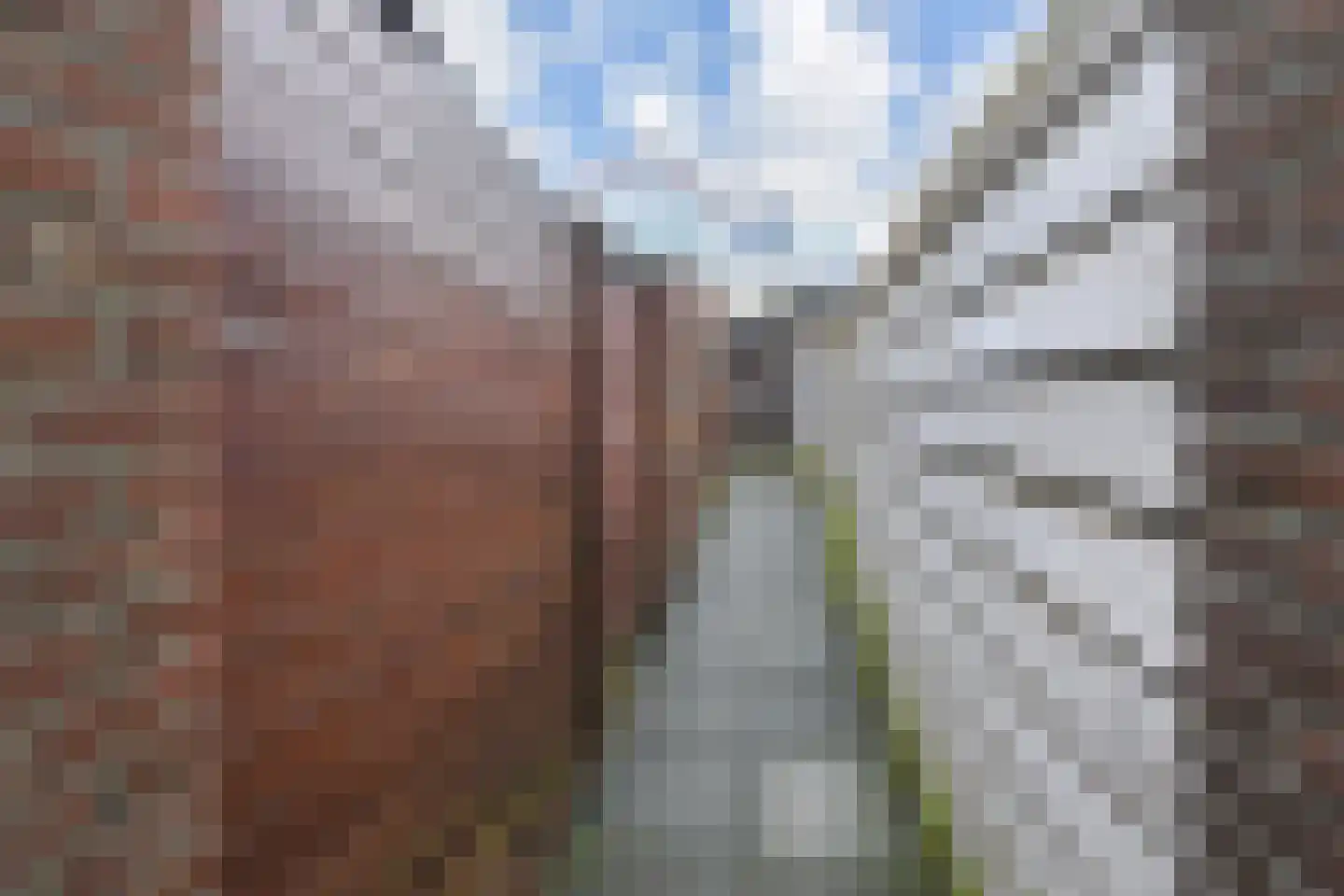 P.C. Bothstraat 52 Gouda thumbnail 33