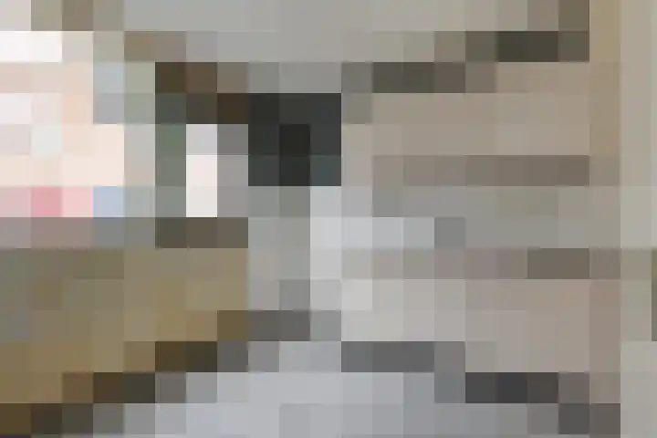 P.C. Bothstraat 52 Gouda thumbnail 8